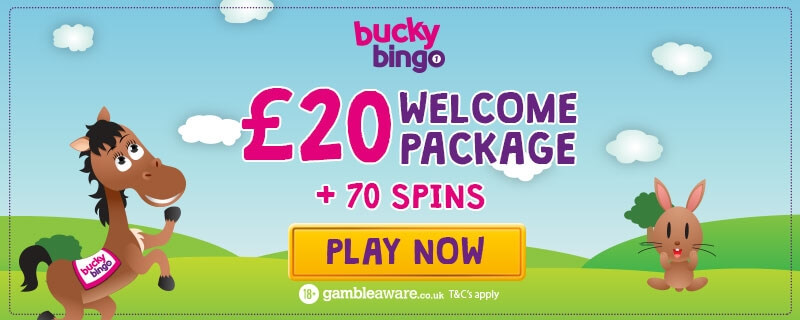 Bucky Bingo – £20 Welcome Package & 70 Free Spins