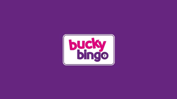 Bucky Bingo Offers and Promotions
