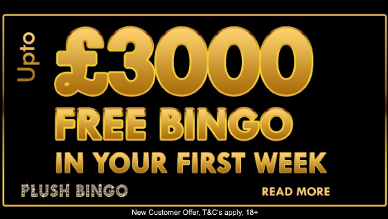 Plush Bingo – Up To £3,000 of Free Bingo – No Deposit Required